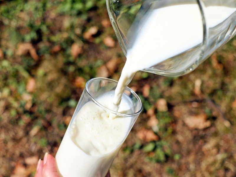 A GVH egyeztetett a hazai tejpiac szereplőivel