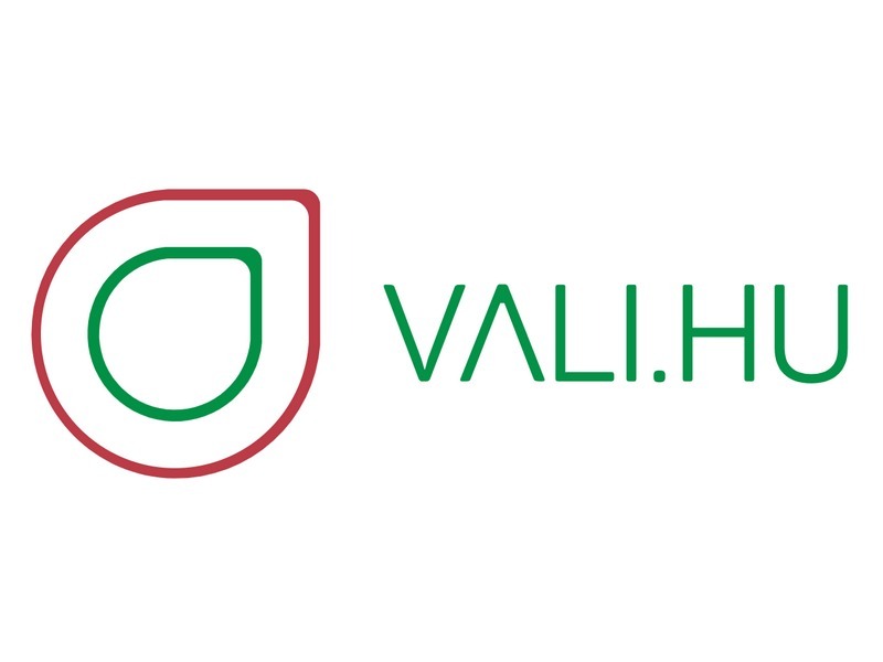 Megújult Vali, a hazai vállalkozásokat segítő információs portál